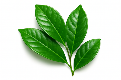 make it a few leaves, vibrant vivid nice